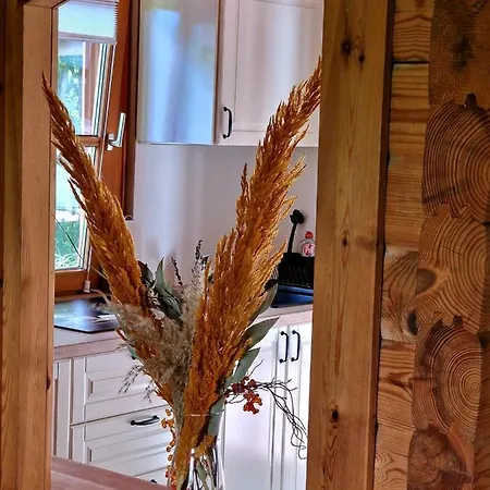 Waldchalet Am Elzbach - Waldtraum Ulmen